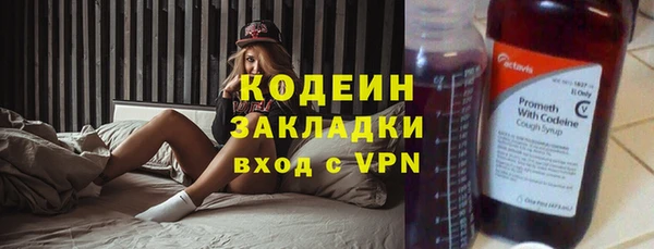 гашик Бородино