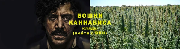 гашик Бородино