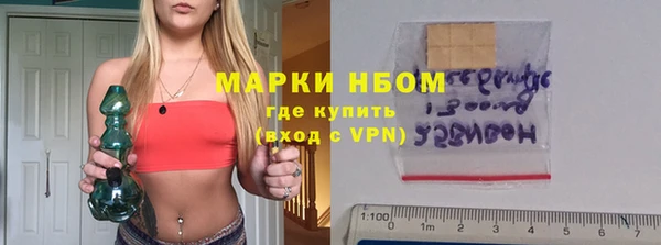 гашик Бородино