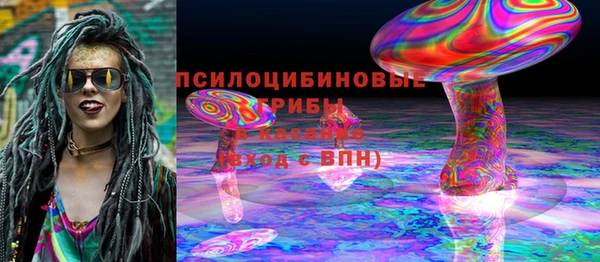 гашик Бородино