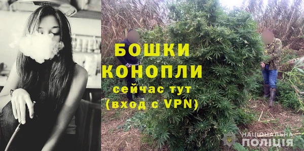 гашик Бородино